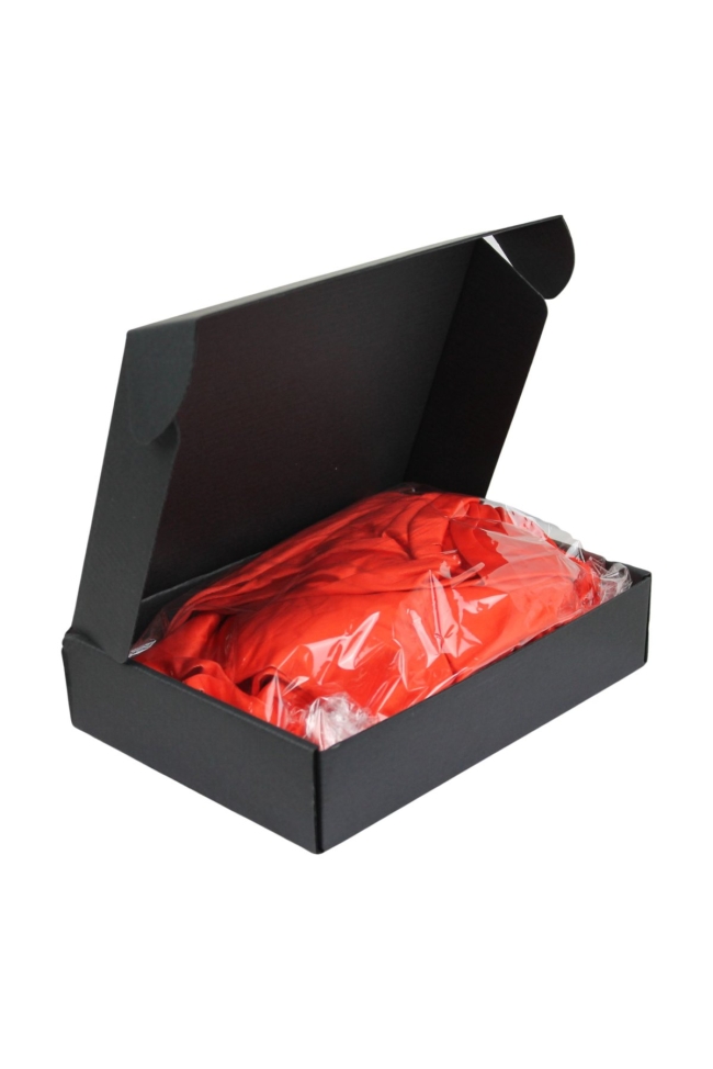 🇨🇭 Drapeau Portable 