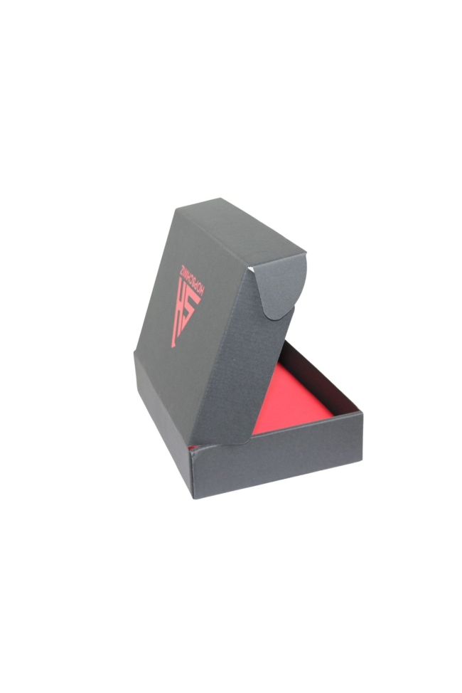 🇨🇭 Drapeau Portable 